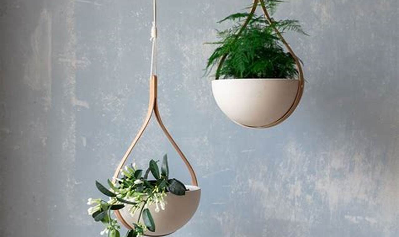 Hanging Plants From Ceiling