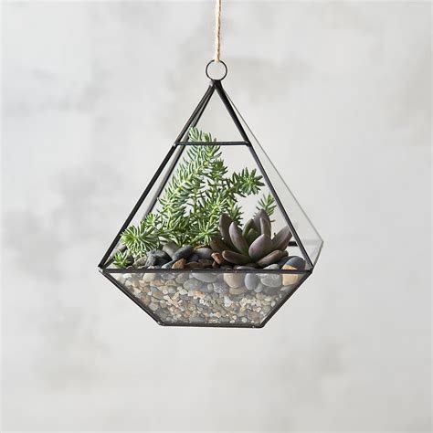 Hanging Terrarium