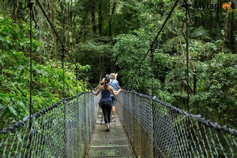 Hanging bridges experience