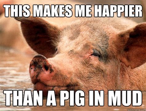 Happier than a pig in mud