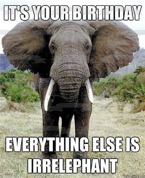 Happy Birthday Meme Elephant