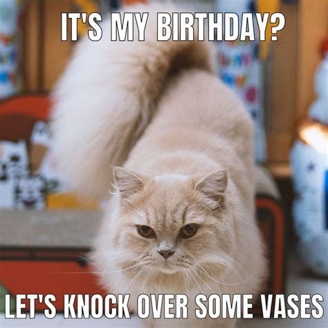 Happy Birthday Meme Kitty