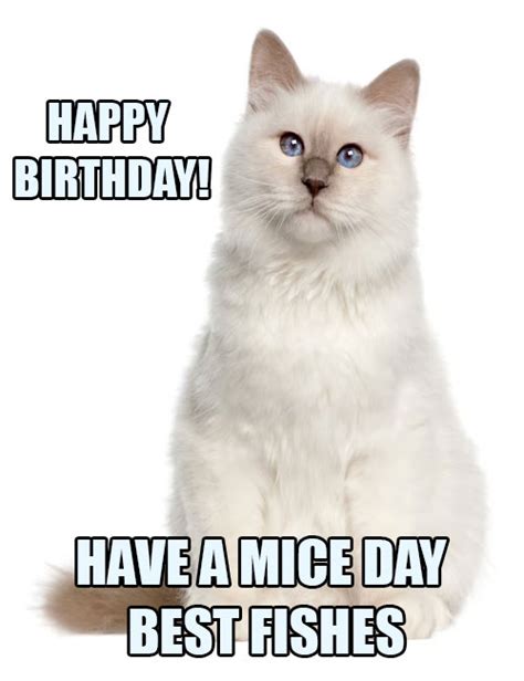 Happy Birthday Meme Lover