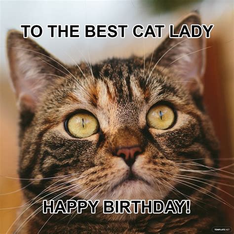 Happy Birthday Meme With Cats