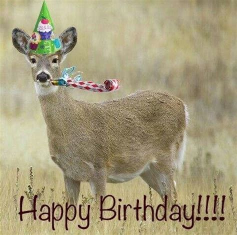 Happy Birthday Meme With Deer