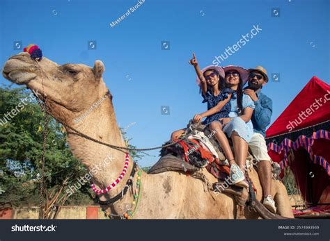 Happy Camel Rider