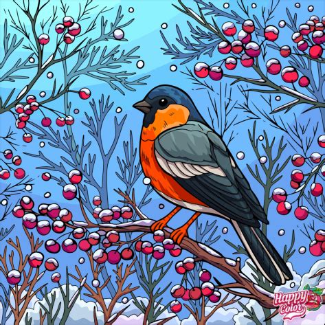 Happy Color: The Massive Library