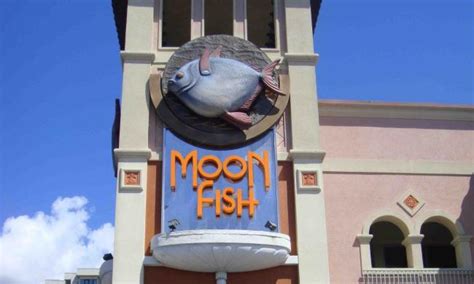 Happy Customers at Moon Fish Orlando