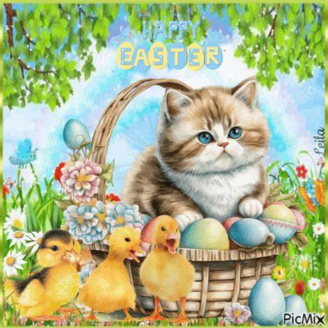 Happy Easter Cat Meme