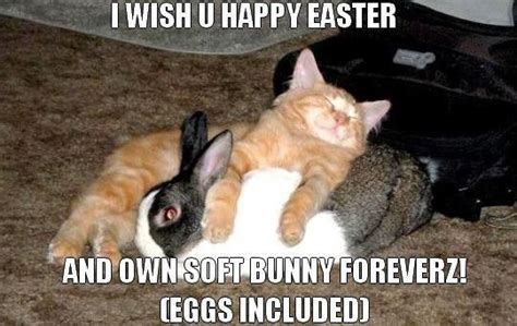Happy Easter Cat Memes