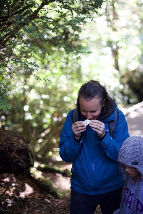 Happy Foraging Tour Participants