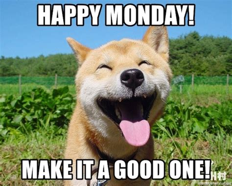 Happy Monday Dog Meme