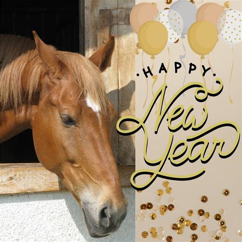 Happy New Year Horse Pic