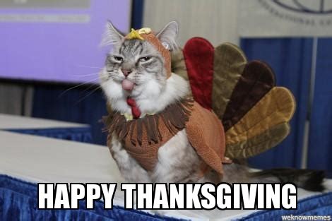 Happy Thanksgiving Animal Meme
