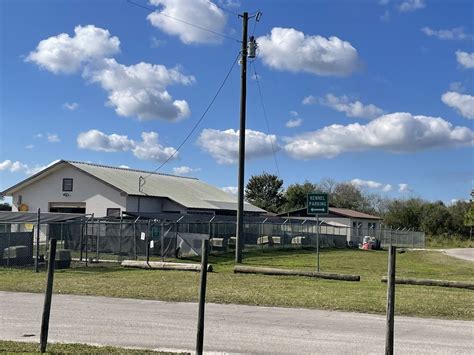 Ensuring Animal Safety and Welfare: Hardee County Animal Control's Comprehensive Services