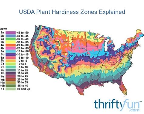 Hardiness Zones Explained