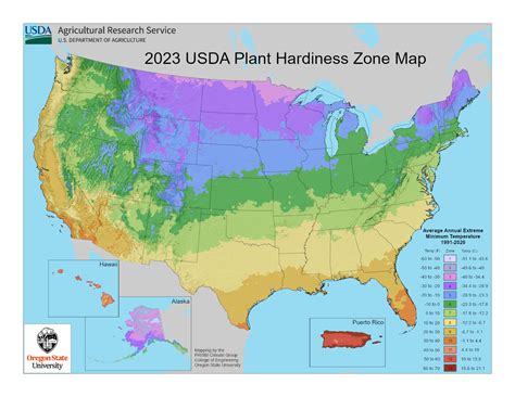 Hardiness