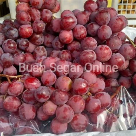 Harga Anggur Merah 1 Kg - Mengapa Harganya Tinggi?