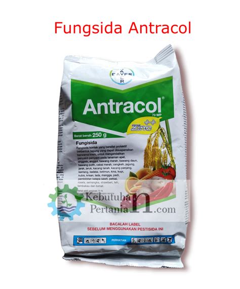 Harga Antracol, Inovasi Berteknologi Tinggi untuk Tumbuhan Hidroponik