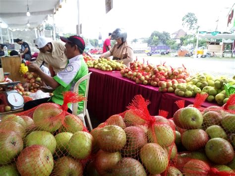 Harga Apel di Pasar Tradisional