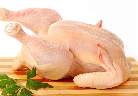 Harga Ayam 1 Ekor di Pasar Tradisional dan Modern