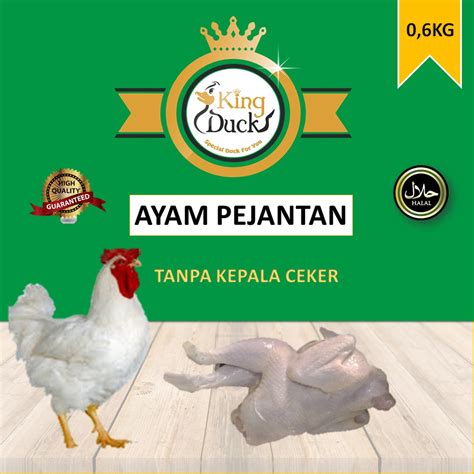 Harga Ayam Pejantan 1 Kg di Indonesia