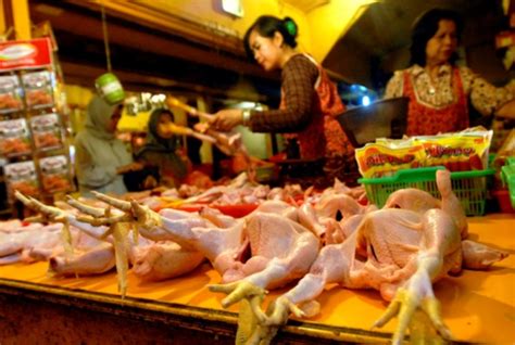 Harga Ayam Per Kg di Pasar Tradisional dan Modern