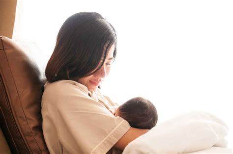 Harga Baby Plus – Ini yang Harus Anda Ketahui