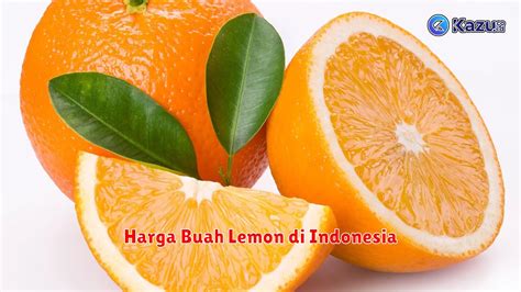 Harga Buah Lemon di Indonesia