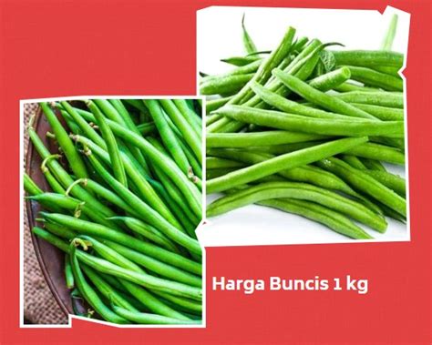 Harga Buncis 1 Kg 2021