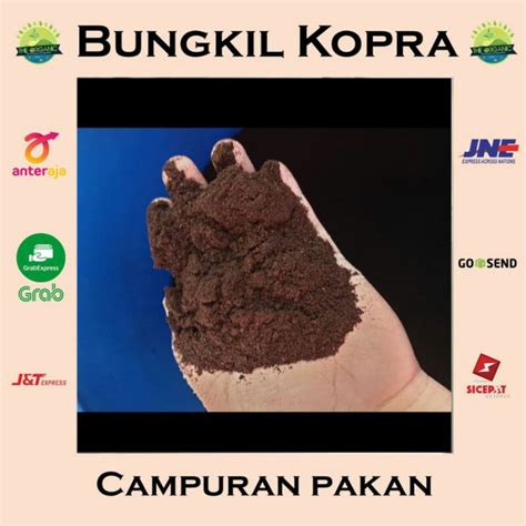 Harga Bungkil Kopra di Indonesia
