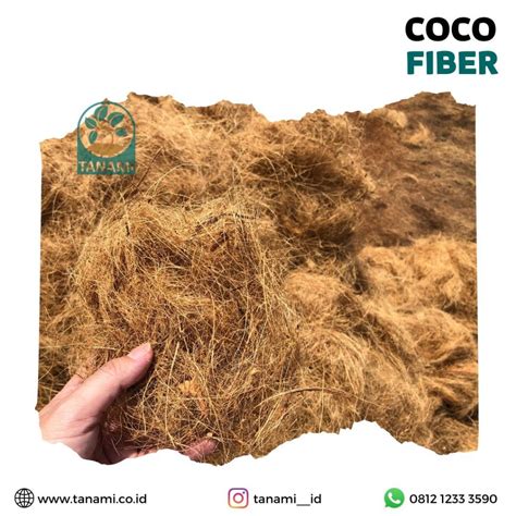 Harga Cocofiber Ekspor: Apa yang Harus Anda Ketahui?