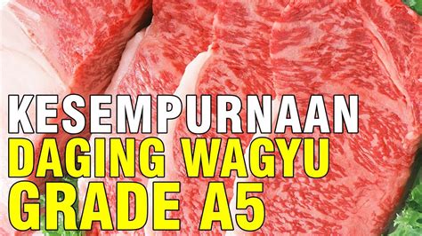 Harga Daging Wagyu Terbaik di Indonesia