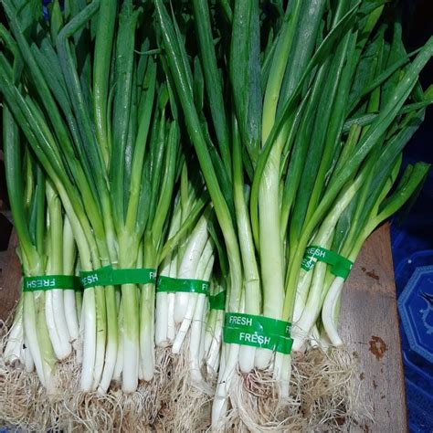 Harga Daun Bawang di Pasar Tradisional dan Toko Online