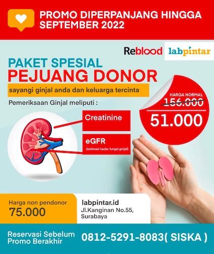 Harga Donor Ginjal di Indonesia