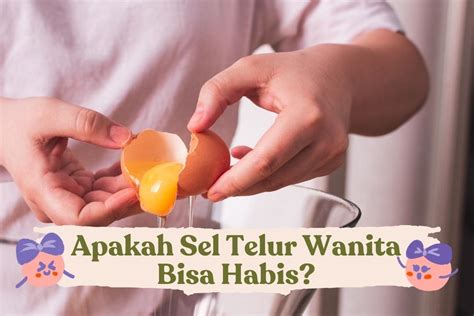 Harga Donor Sel Telur Cewe di Indonesia