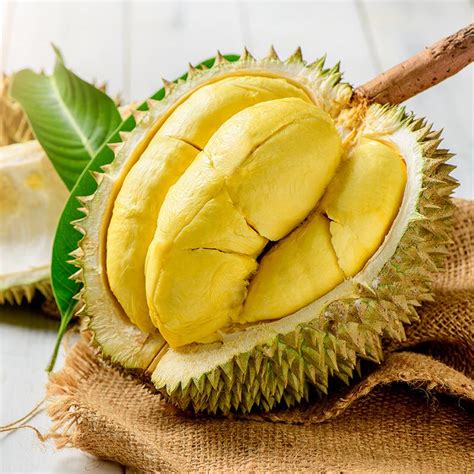 Harga Durian Montong dan Manfaatnya
