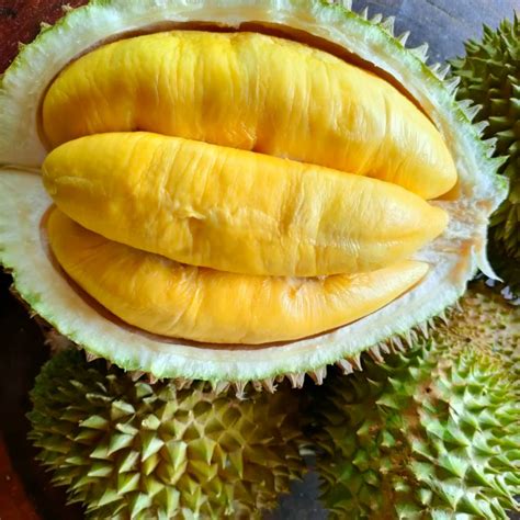 Harga Durian Musang King 2021