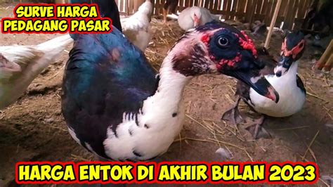 Harga Entok di Indonesia