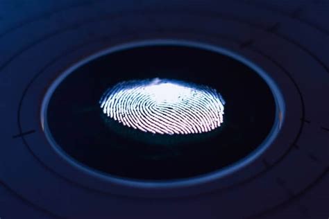 Harga Fingerprint: Semua yang Perlu Anda Ketahui