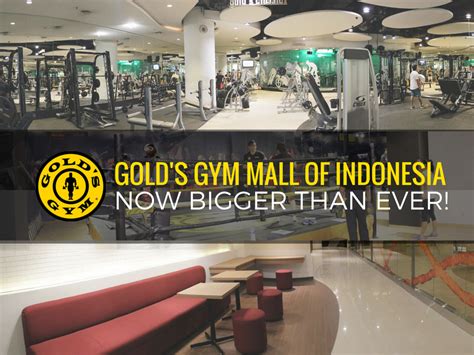 Harga Gold's Gym Indonesia - Apakah Harga Gold's Gym Mahal?