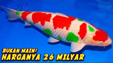 Harga Ikan Koi Silver di Indonesia