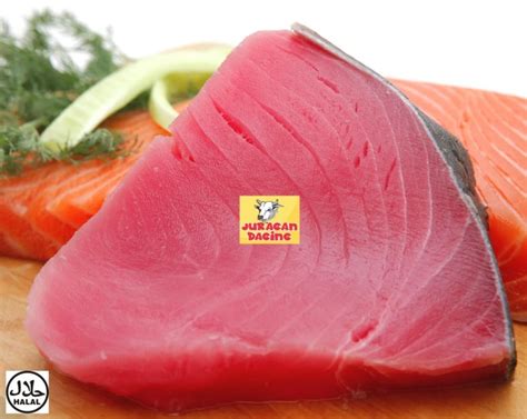 Harga Ikan Tuna Per Kg di Indonesia