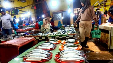 Harga Ikan Tuna Terkini di Pasar