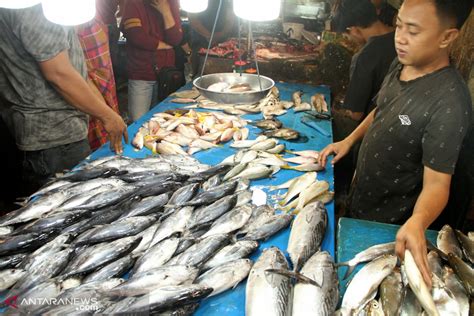 Harga Ikan di Pasar Tradisional