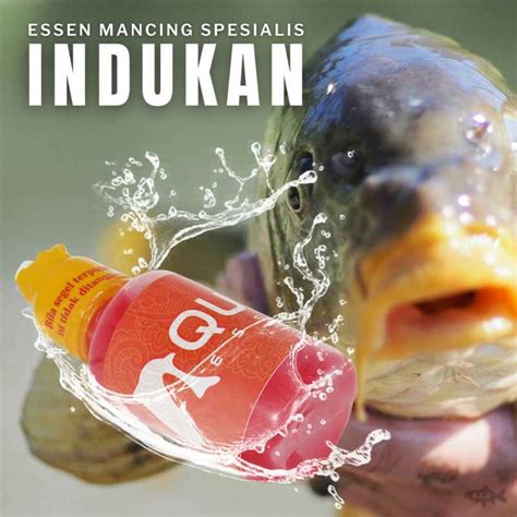 Harga Indukan Ikan Mas