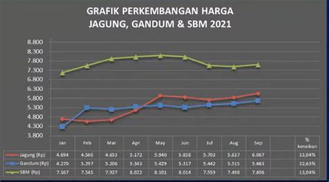 Harga Jagung 2021