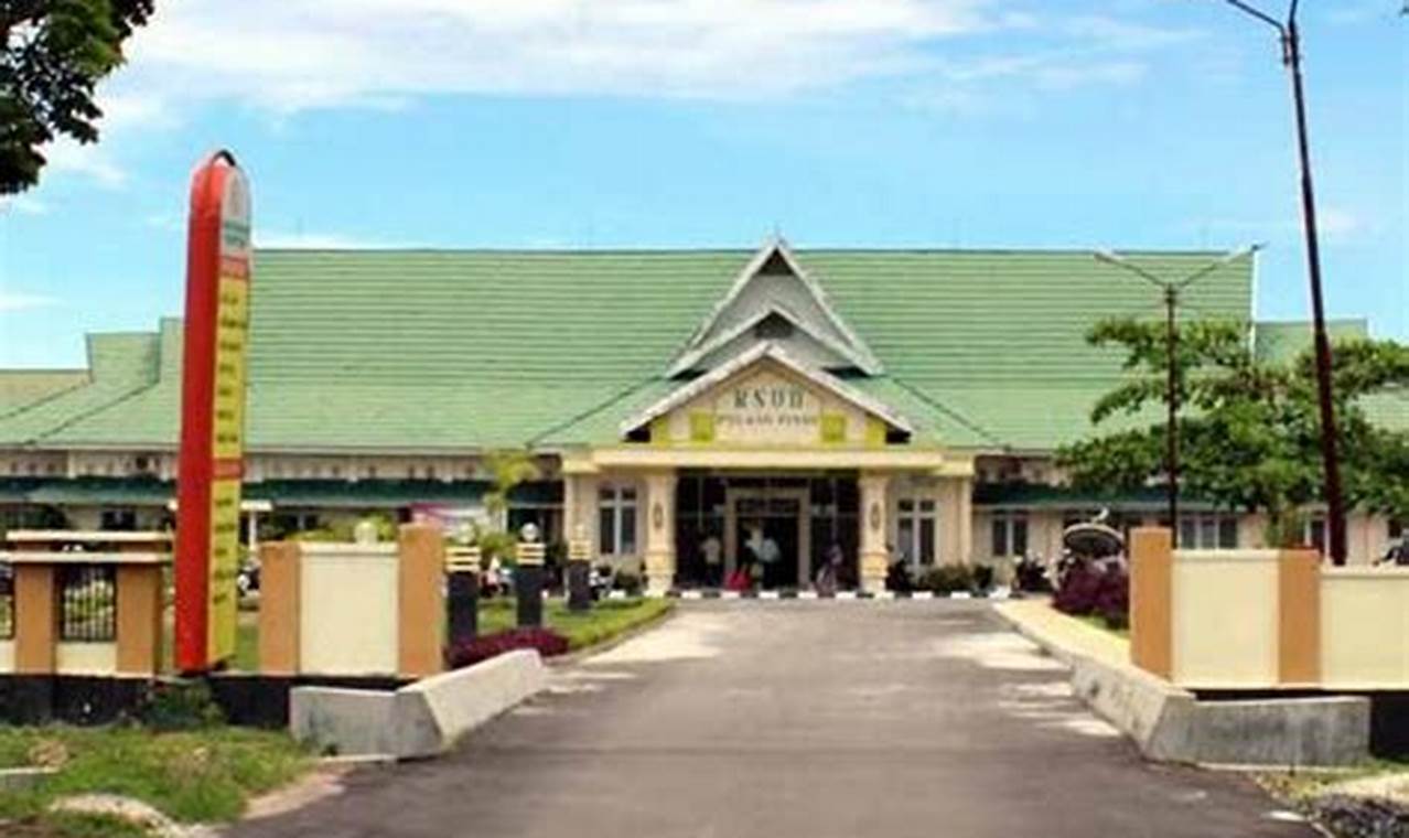 Harga Kamar RS Umum Daerah Pulang Pisau Kalimantan Tengah