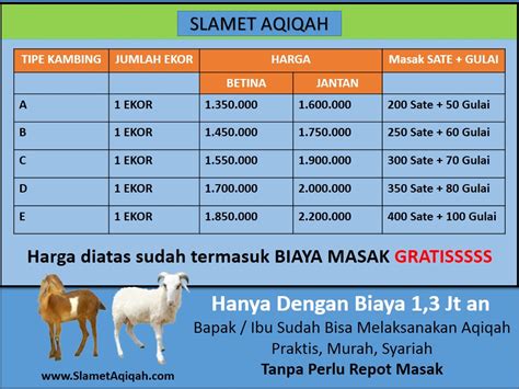 Harga Kambing Aqiqah dan Cara Pembelian yang Tepat