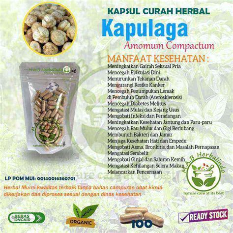 Harga Kapulaga di Bandung